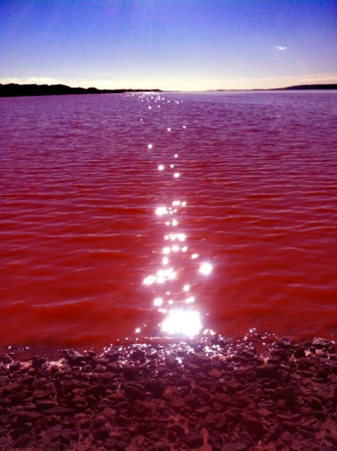 Pink lagoon water meeting the shoreline