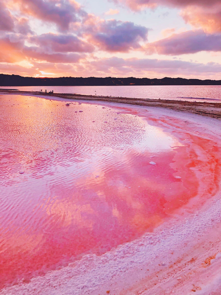 Pink lagoon landscape in Western Australia